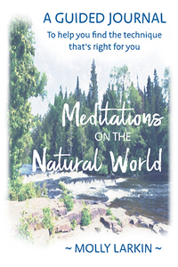 A new book on meditation during these trying times.