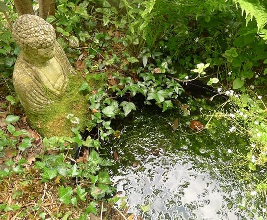 Buddha and frogs, 2014