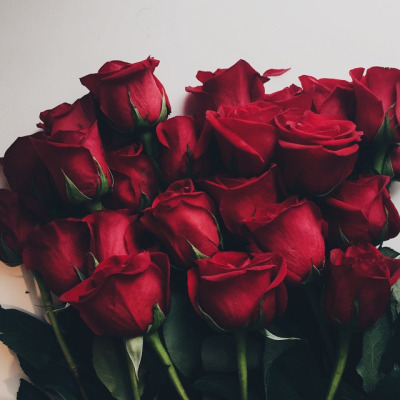 rose, flowers, and red image