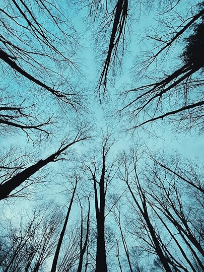 Photo by Jon Tyson on Unsplash