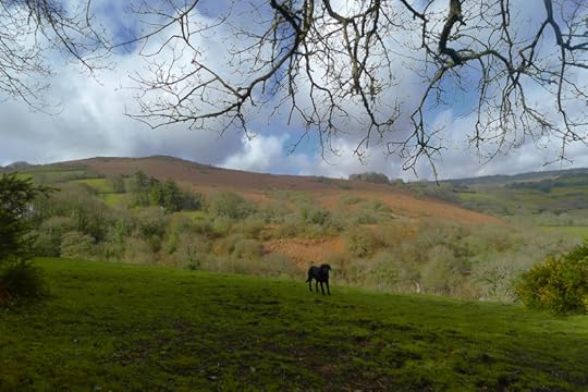 Meldon Hill