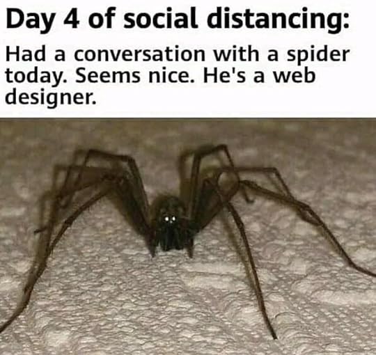 Image may contain: possible text that says 'Day 4 of social distancing: Had a conversation with a spider today. Seems nice. He's a web designer.'