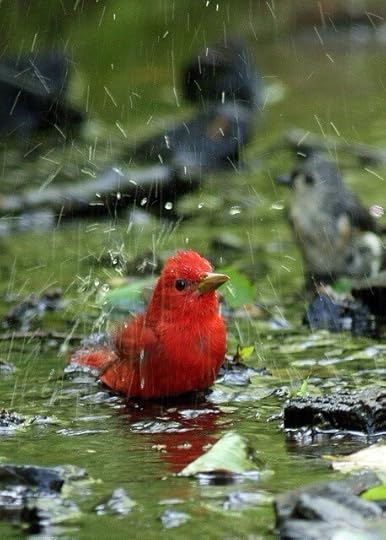 Rain on me. I don&#8217;t care. I&#8217;m still cute.
