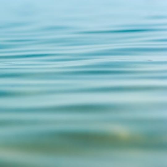 Photo by Lavi Perchik on Unsplash