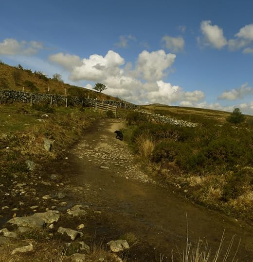 Dartmoor journey