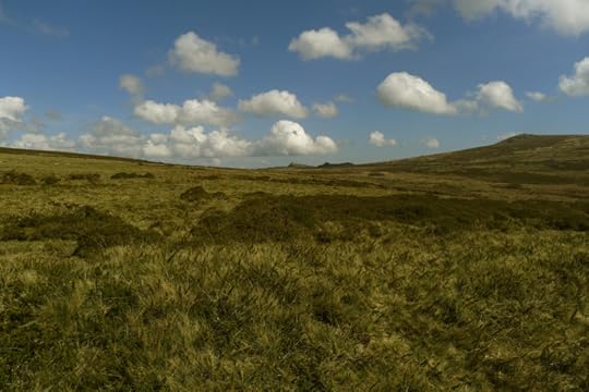 Dartmoor 7