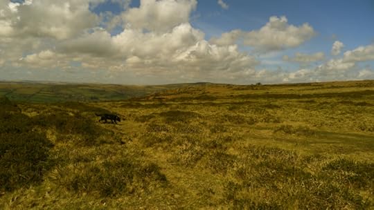 Dartmoor 8