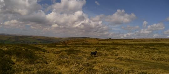 Dartmoor