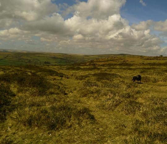 Dartmoor 9