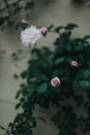 Photo by Nathan Dumlao on Unsplash