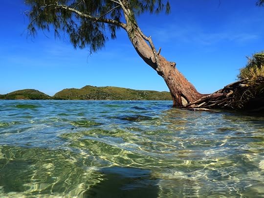 Japanese Island in Cabo Frio