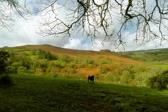 Meldon Hill