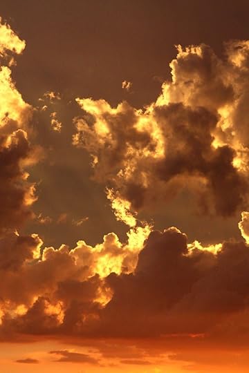 gold, sweet, and golden hour image