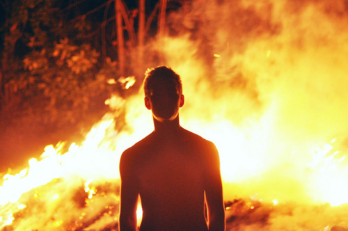 boy, forest, and fire image