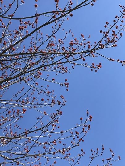 49757907867_94d8106a68_c