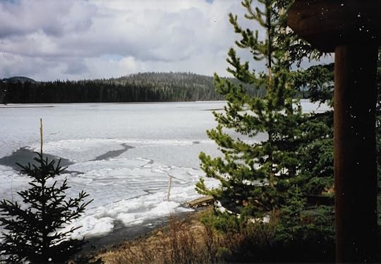 Image may contain: tree, sky, plant, snow, cloud, outdoor and nature
