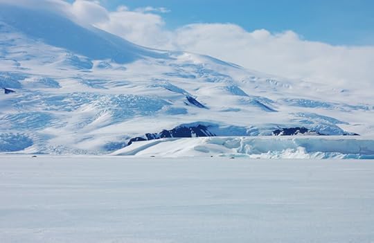 The tip of Glacier Tongue, with Erebus snoozing behind and Weddell seals snoozing before.