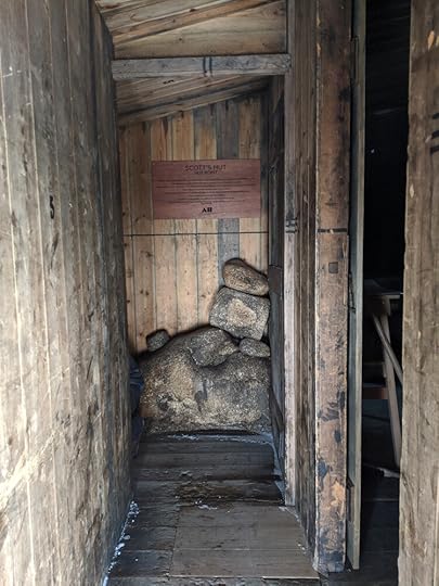 I don’t know for sure if this was the famous ‘compressed fodder’ but it’s all in very small bits, not long stalks of straw, and certainly looks compressed – more like chipboard than hay – so I’m going to guess it is.