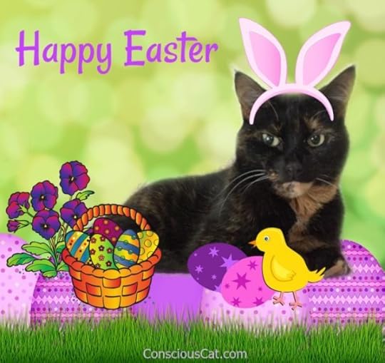 easter-cat