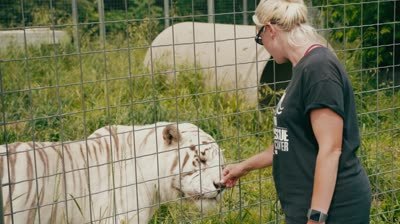 KozBig Cat Rescue vid