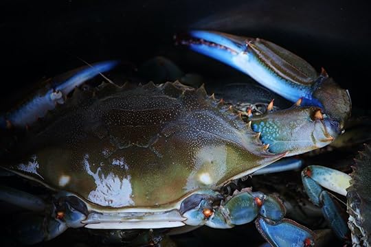 carolina-lowcountry-blue-crab-importance-culture
