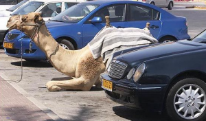 Screen Shot 2017-09-20 at 4.21.46 PM