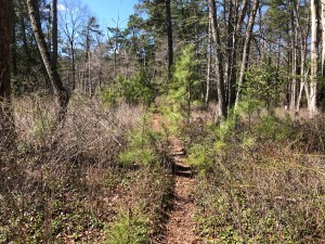 this is good because