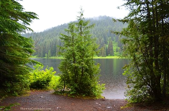 Lake Trillium on Mount Hood copyright Shawna Coronado