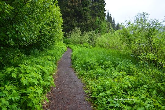Lake Trillium and Mount Hood Hiking Trails copyright Shawna Coronado