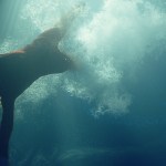 Sea Fever (2019)