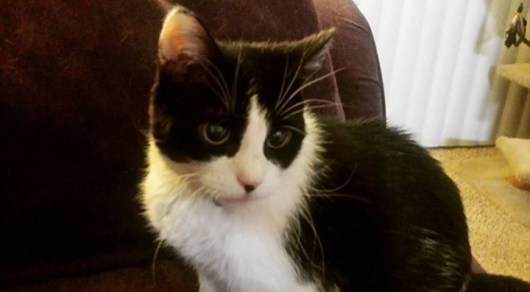 Zoe