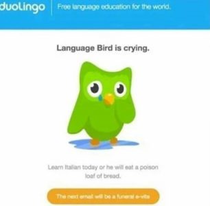 duolingo ux psychology