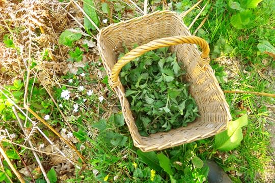 Basket of nettles