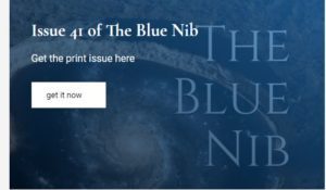 Blue Nib Literary Journal