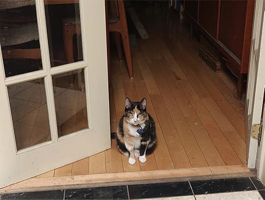 IMG_20200412_205512[1]