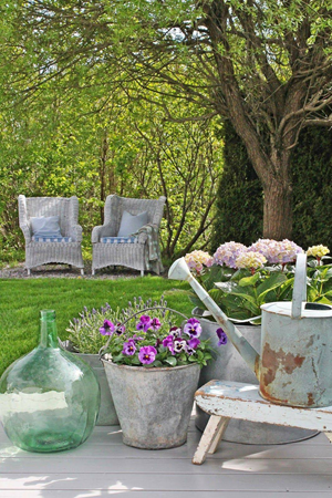 two chairs under a tree