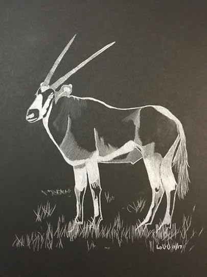 drawing of an oryx in white pencil on black paper, artist Linzé Brandon