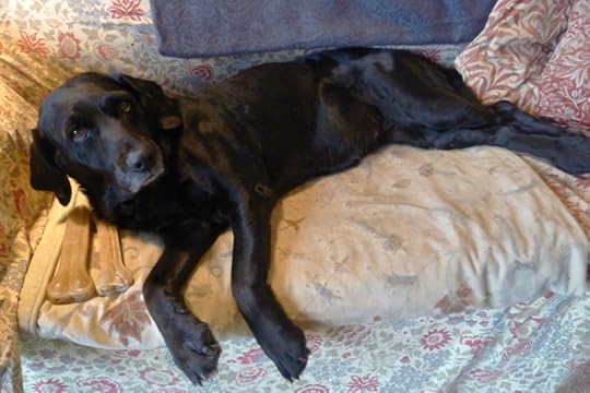 Sleeping beauty awakes