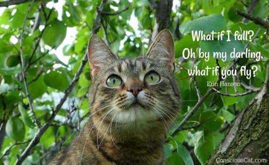 cat-tree-what-if 