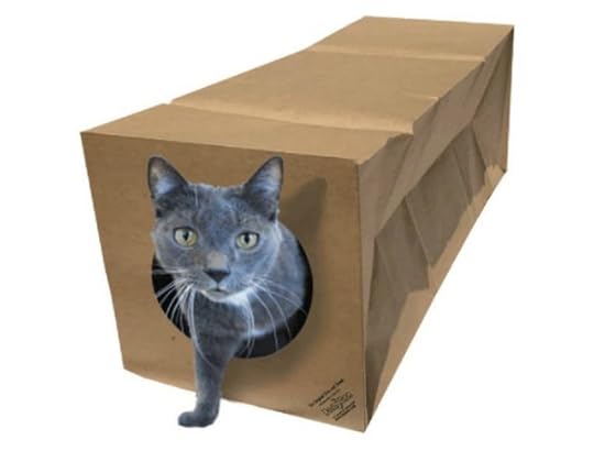 cat-tunnel