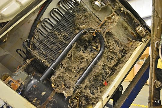 Refrigerator Coil Cleaning