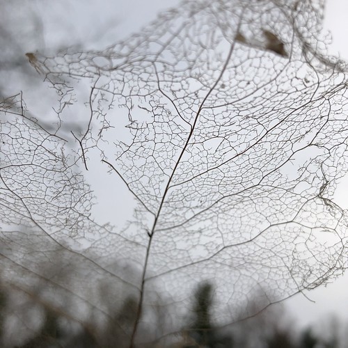 net to catch a falling sky