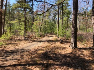 where do we go from here?