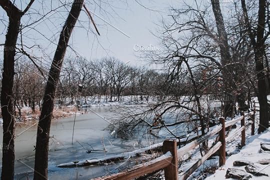 frozen pond in the forest