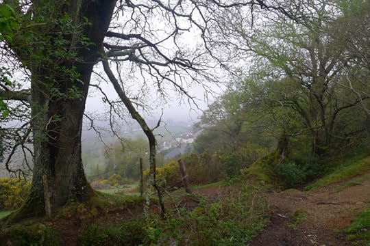 6a00e54fcf73858834025d9b492f98200c