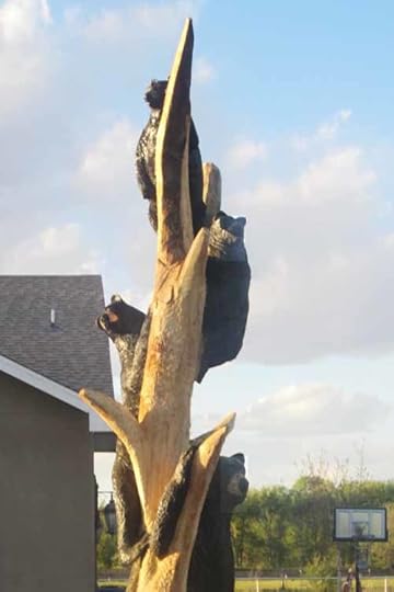 bearz