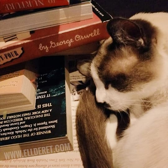 sleeping-cat-with-fantasy-books.jpg