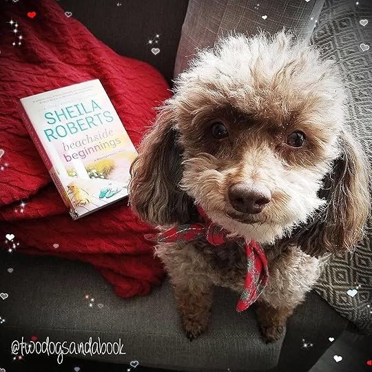 Beachside Beginnings