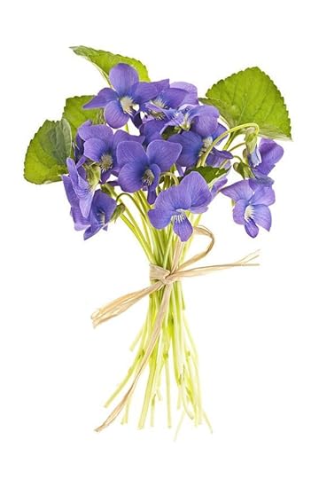 Bouquet Photograph - Bouquet Of Violets by Elena Elisseeva