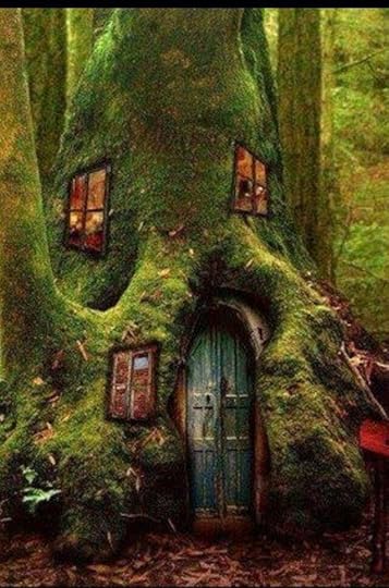 house in a tree trunk